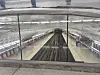 Tilfluktsrom