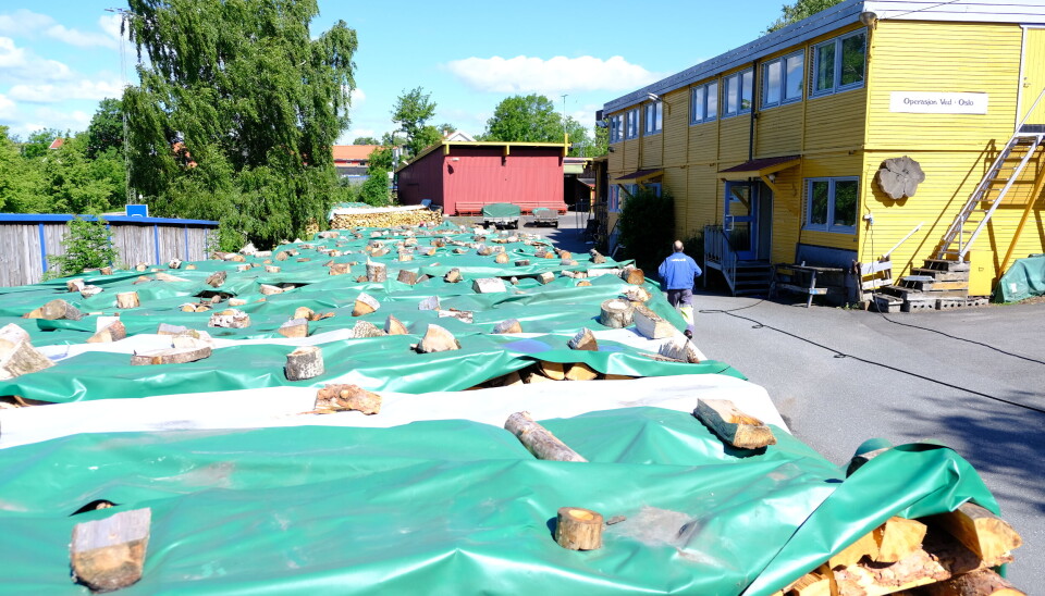 Fra Etterstad leverer de ved til uføre og minstepensjonister. Men Ruter ...