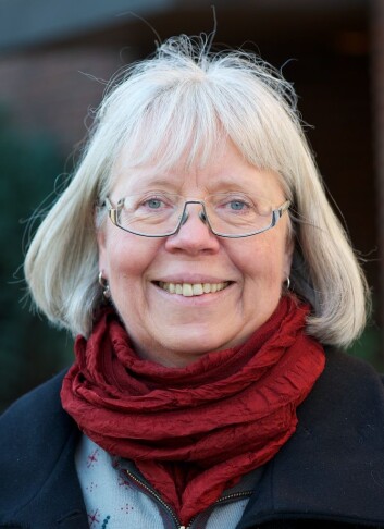 Byantikvar Janne Wilberg. Foto: Twitter Byantikvar Janne Wilberg. Foto: Twitter