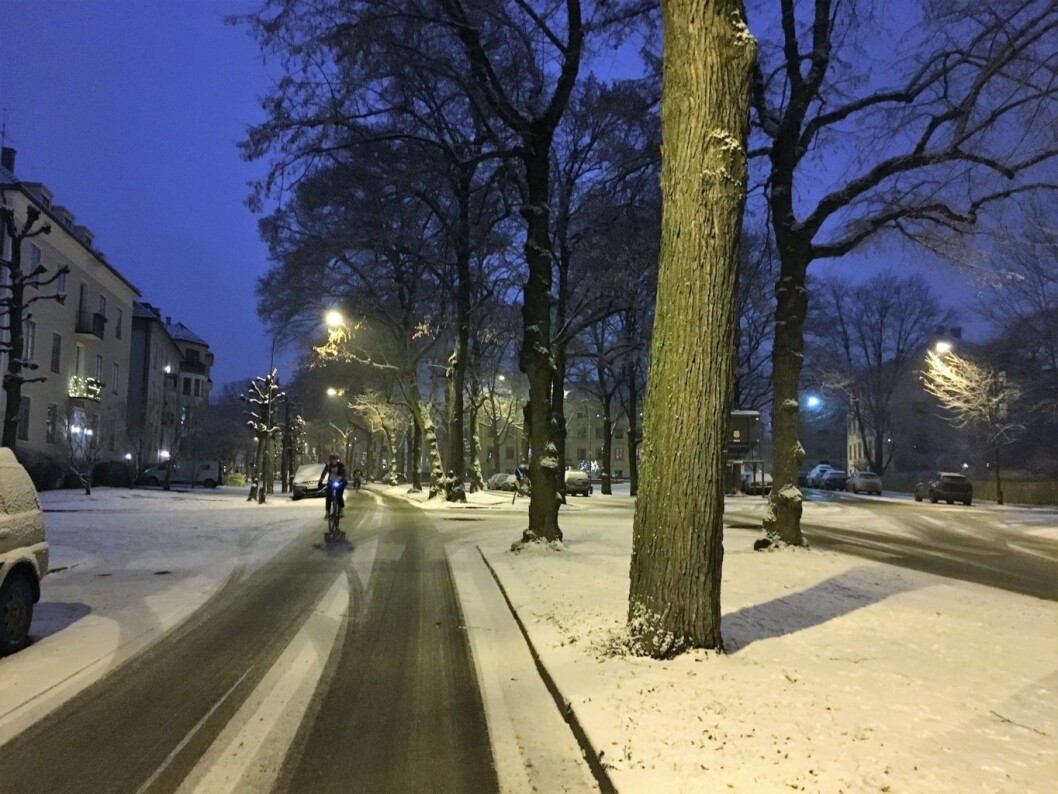 En vintersyklist i Gyldenløvesgate på Frogner. En vintersyklist i Gyldenløvesgate på Frogner.
