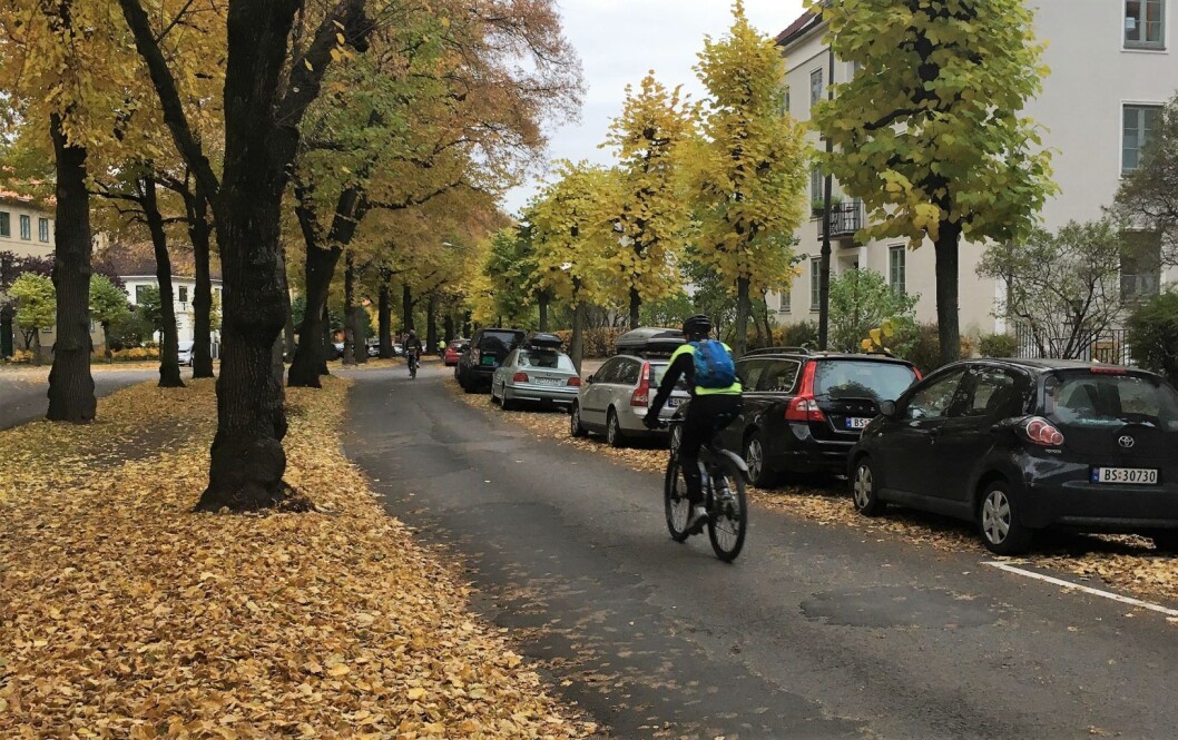 Gyldenløves gate på Frogner. Her skal bilene vekk, til fordel for sykkelvei. Foto: Ingalill Sandal Gyldenløves gate på Frogner. Her skal bilene vekk, til fordel for sykkelvei. Foto: Ingalill Sandal