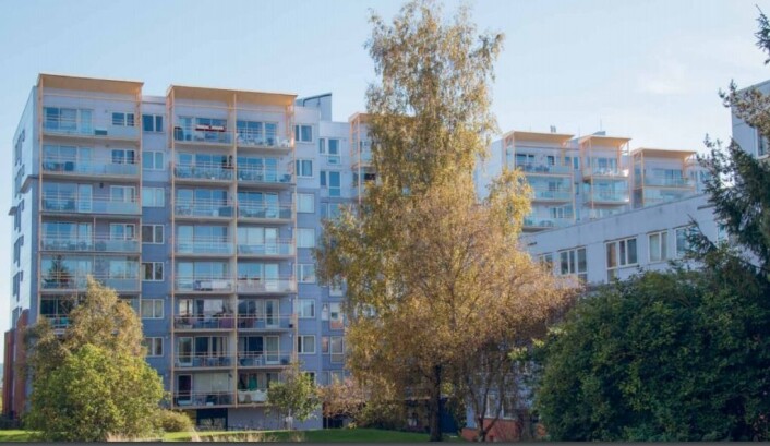 Borettslaget Kollektivet, sett utenfra. Foto: Boka Fra servicehus til dugnadsfellesskap Borettslaget Kollektivet, sett utenfra. Foto: Boka Fra servicehus til dugnadsfellesskap