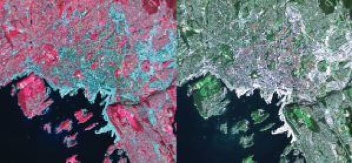 Satellittbilde over Oslo: Bildet til høyre viser det synlige spekteret slik vi ser det naturlig, mens den infrarøde kanalen egner seg spesielt godt til å skille mellom forskjellige typer avlinger og skogstyper. Det turkise er tettbebygde strøk, mens det mørkerøde er planter. De reflekterer det infrarøde lyset godt. Det lyserøde er planter som vokser raskt. Dette hjelper forskerne å overvåke vekst. Foto: ESA Satellittbilde over Oslo: Bildet til høyre viser det synlige spekteret slik vi ser det naturlig, mens den infrarøde kanalen egner seg spesielt godt til å skille mellom forskjellige typer avlinger og skogstyper. Det turkise er tettbebygde strøk, mens det mørkerøde er planter. De reflekterer det infrarøde lyset godt. Det lyserøde er planter som vokser raskt. Dette hjelper forskerne å overvåke vekst. Foto: ESA