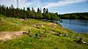 Øvresetertjern i Nordmarka, mellom  Frognerseteren og Tryvannshøgda. Foto: Niklas Lynau / Oslo kommune