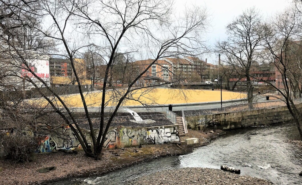 Mine damer og herrer: Nedre Foss park. Foto: Trygve Nesse Mine damer og herrer: Nedre Foss park. Foto: Trygve Nesse