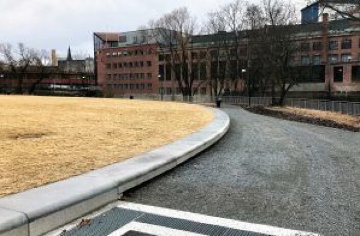 En seksjon av gressplenen og turstien i Nedre Foss park. Foto: Trygve Nesse En seksjon av gressplenen og turstien i Nedre Foss park. Foto: Trygve Nesse