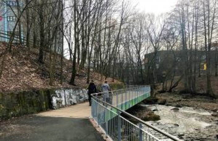 Turvei som leder til nordenden av Nedre Foss park. Foto: Trygve Nesse Turvei som leder til nordenden av Nedre Foss park. Foto: Trygve Nesse