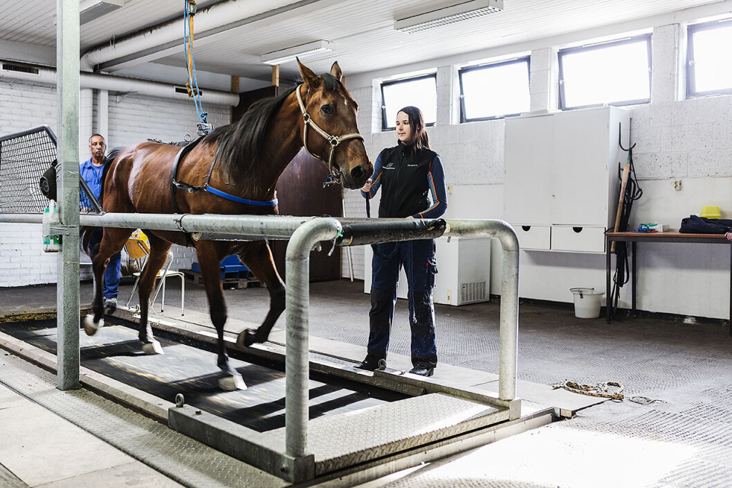 For første gang på tredemølle, og det gikk fint. Neste gang blir det med pulsmåler og kanskje med en sonde som kan fortelle hva som skjer med luftveiene under anstrengelse. Foto: Stine Raastad For første gang på tredemølle, og det gikk fint. Neste gang blir det med pulsmåler og kanskje med en sonde som kan fortelle hva som skjer med luftveiene under anstrengelse. Foto: Stine Raastad