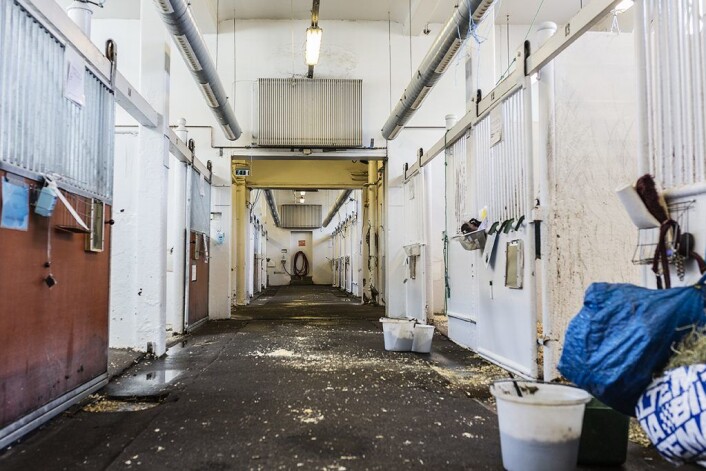 En litt annerledes sykehuskorridor. Ingen korridorpasienter her. Foto: Stine Raastad En litt annerledes sykehuskorridor. Ingen korridorpasienter her. Foto: Stine Raastad