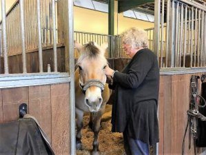 En av de frivillige i stallen, Reidun Valen, steller med den eldste hesten. Foto: Yasmin Sfrintzeris En av de frivillige i stallen, Reidun Valen, steller med den eldste hesten. Foto: Yasmin Sfrintzeris