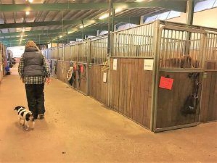 – Her er parkeringsanlegget, sier Kragh mens hun viser rundt i stallen. Foto: Yasmin Sfrintzeris – Her er parkeringsanlegget, sier Kragh mens hun viser rundt i stallen. Foto: Yasmin Sfrintzeris