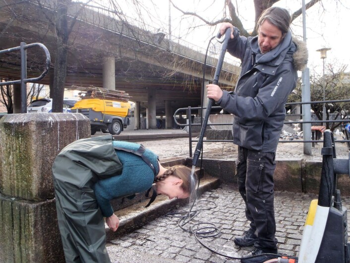 Hroar Hesselberg fjerner måkeskitt, både den som var på bakken, og den som Anne Marte Archer fikk i hodet. Foto: Anders Høilund Hroar Hesselberg fjerner måkeskitt, både den som var på bakken, og den som Anne Marte Archer fikk i hodet. Foto: Anders Høilund