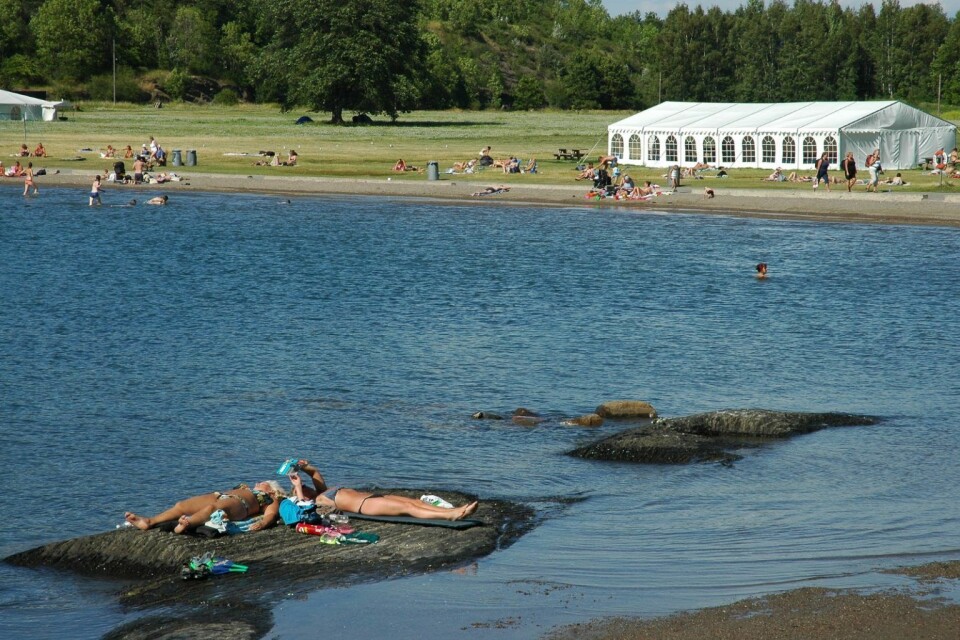 Små og store nyter en lat sommerdag på stranda på Langøyene. Foto: Bymiljøetaten / Oslo kommune