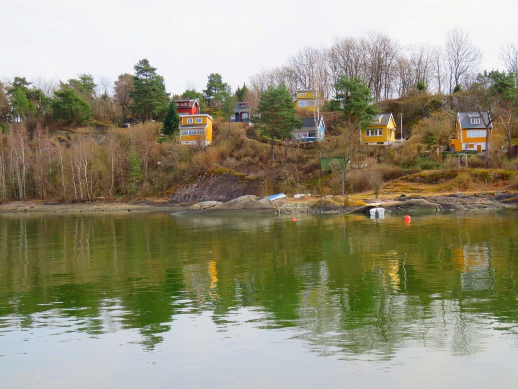 Bleikøya sett fra fjorden. Foto: Kyrre Songtad Seim Bleikøya sett fra fjorden. Foto: Kyrre Songtad Seim