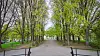 Almetrærne i Torshovparken