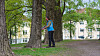 Almetrærne i Torshovparken vaksineres mot almesyken.