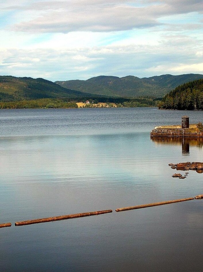 Maridalsvannet ved Oset renseanlegg. Foto: Wikipedia Maridalsvannet ved Oset renseanlegg. Foto: Wikipedia