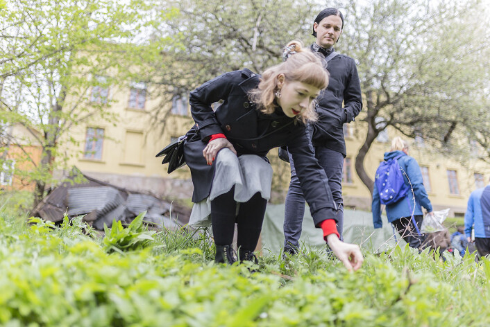 Blir det en spenstig og ny salat i kveld. Foto: Stine Raastad Blir det en spenstig og ny salat i kveld. Foto: Stine Raastad