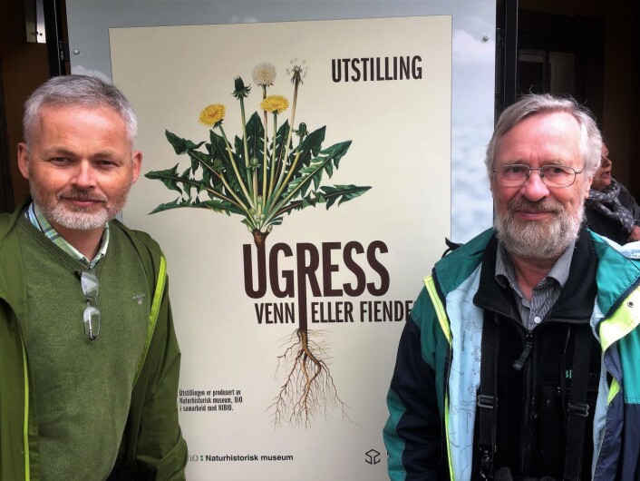 Kommunikasjonsrådgiver Erling Fløistad og Forsker Helge Sjursen har jobbet i over 15 år med ugressplansjene til Emil Korsmo. Foto: Vegard Velle Kommunikasjonsrådgiver Erling Fløistad og Forsker Helge Sjursen har jobbet i over 15 år med ugressplansjene til Emil Korsmo. Foto: Vegard Velle