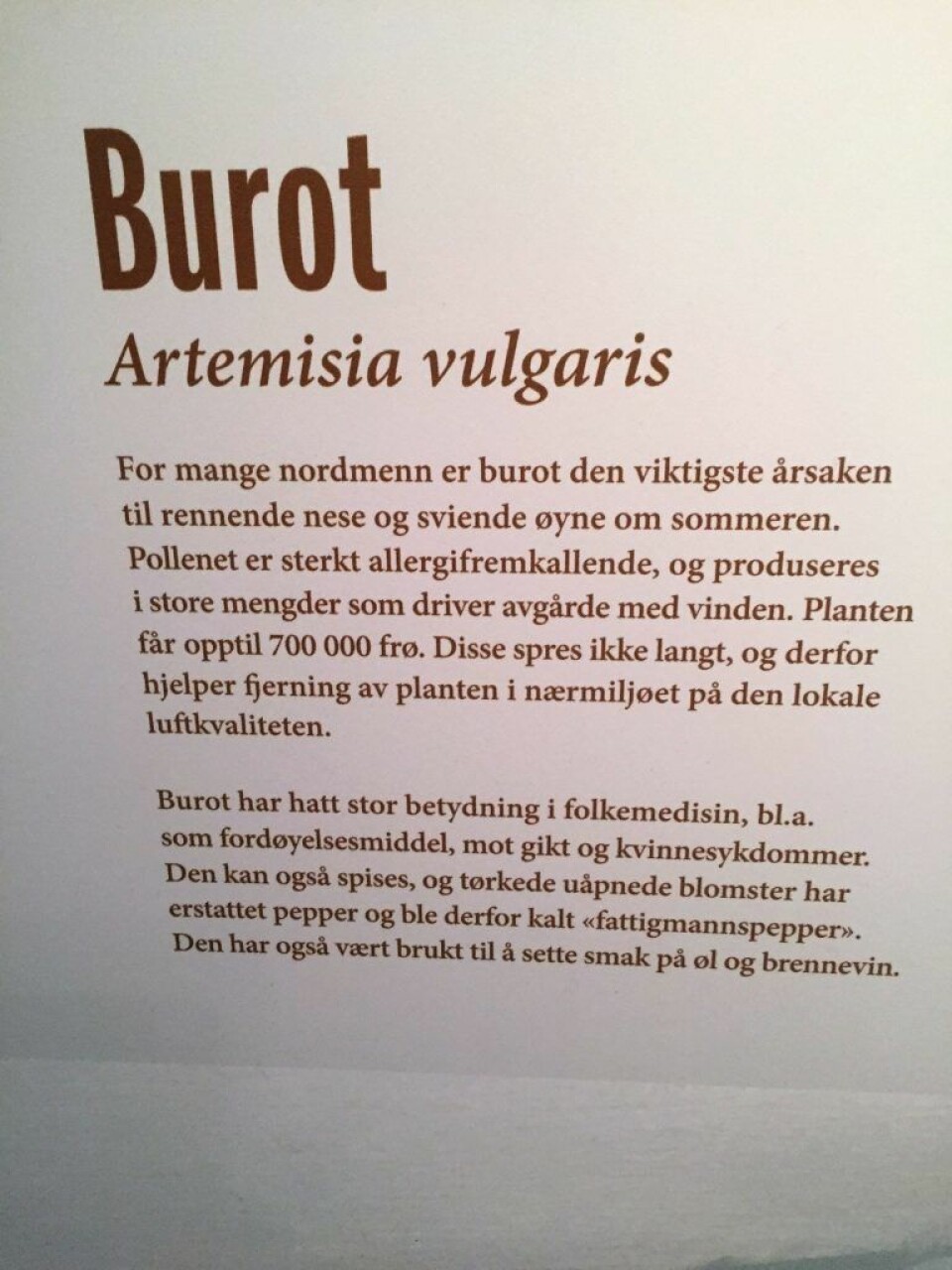 Burot. Naturhistorisk museum. Foto: Vegard Velle
