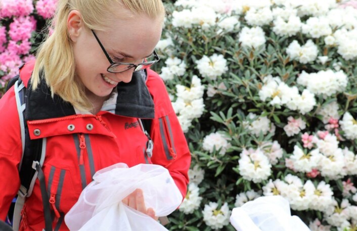 Biolog Kari-Elise Fredriksen er omviser på humlevandringene. Her har hun fanget en markhumle. Foto: Inge Madsen Biolog Kari-Elise Fredriksen er omviser på humlevandringene. Her har hun fanget en markhumle. Foto: Inge Madsen