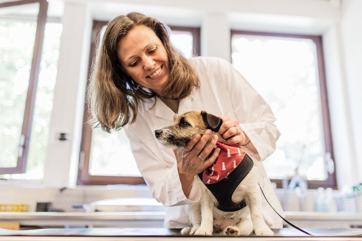 Med sitt prosjekt om langtidsvirkninger av rottegift på hunder håper Kristin Opdal Seljetun at vi kan få vite mer om hvordan giften angriper, og redde flere hunder. Foto: Stine Raastad Med sitt prosjekt om langtidsvirkninger av rottegift på hunder håper Kristin Opdal Seljetun at vi kan få vite mer om hvordan giften angriper, og redde flere hunder. Foto: Stine Raastad