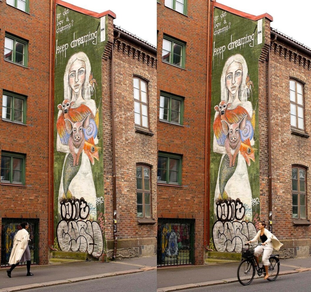 Er det lov å drømme? Foto: Merethe Ruud Er det lov å drømme? Foto: Merethe Ruud