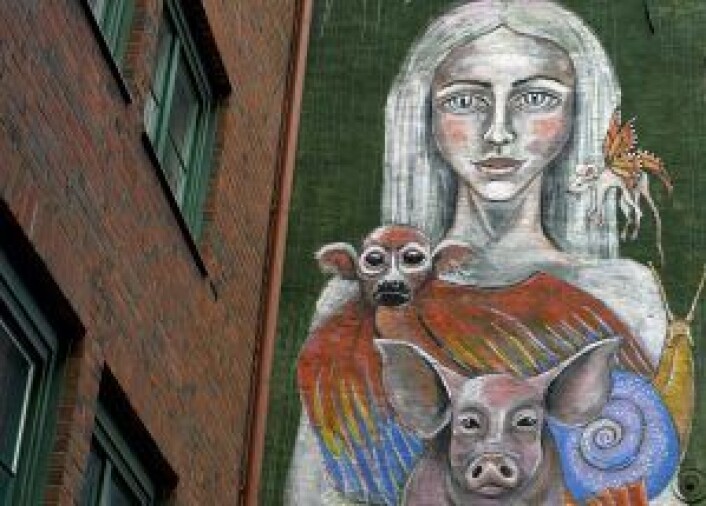 Er det lov å drømme?, utsnitt. Foto: Merethe Ruud Er det lov å drømme?, utsnitt. Foto: Merethe Ruud