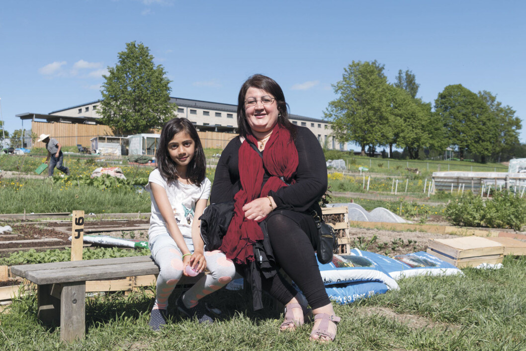 Farideh Rashid Aghdam er svært fornøyd med parsellhagen sin. Her med datteren. Foto: Kikkut kommunikasjon Farideh Rashid Aghdam er svært fornøyd med parsellhagen sin. Her med datteren. Foto: Kikkut kommunikasjon