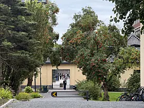 blindern studenterhjem