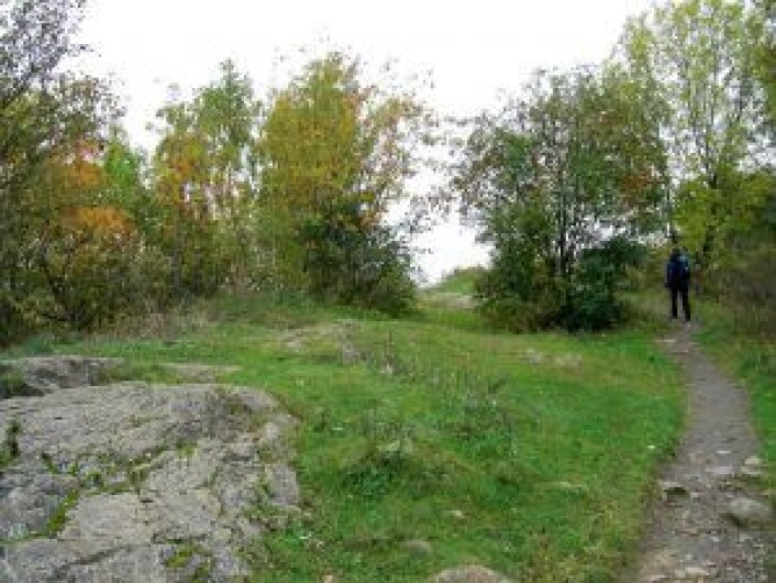 Stien opp på Blåsen, høyden nord i Stensparken på Fagerborg i Oslo. Stien opp på Blåsen, høyden nord i Stensparken på Fagerborg i Oslo.