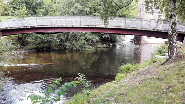 Under Kjærlighetsbrua ved Øvre Foss danner laksen par og gyter. På senhøstes kan du se fra broa hvordan fiskene oppvarter hverandre. Foto: Anders Høilund Under Kjærlighetsbrua ved Øvre Foss danner laksen par og gyter. På senhøstes kan du se fra broa hvordan fiskene oppvarter hverandre. Foto: Anders Høilund