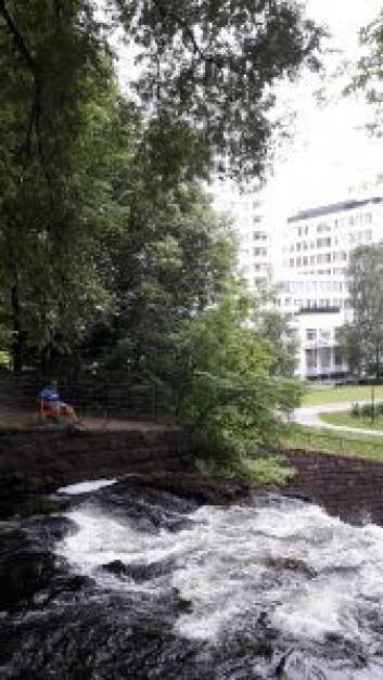 Fossheim, heimen ved fossen. Fossen og lyden av strømmende vann viktig for området. Foto Anders Høilund Fossheim, heimen ved fossen. Fossen og lyden av strømmende vann viktig for området. Foto Anders Høilund