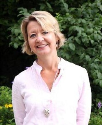– Vi er enige i at det bør legges til rette for atelierer og produksjonslokaler for kunstnere i Oslo, sier Hilde Barstad, direktør i kulturetaten. Foto: Privat – Vi er enige i at det bør legges til rette for atelierer og produksjonslokaler for kunstnere i Oslo, sier Hilde Barstad, direktør i kulturetaten. Foto: Privat