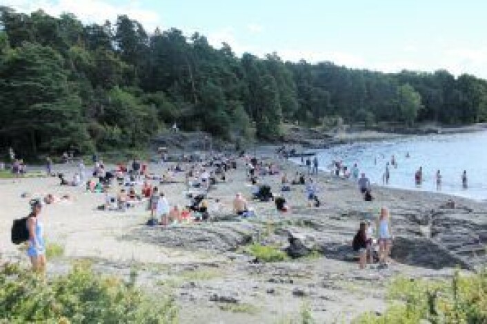 Paradisbukten er Bygdøy-folks favoritt. Foto: Hans Magnus Borge