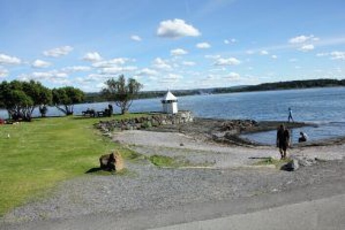 En hyggelig plett på Bygdøynes. Fint for piknik – men veldig steinete. Foto: Hans Magnus Borge En hyggelig plett på Bygdøynes. Fint for piknik – men veldig steinete. Foto: Hans Magnus Borge
