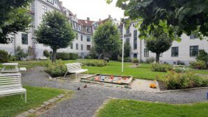Deler av bakgården til de ti sameiene som motsetter seg planene til Merkantilbygg. Sameiene mener at bakgården vil miste all tilgang til sol med planene. Bak fotografen er den nærmeste av de to garasjene. Foto: Tarjei Kidd Olsen Deler av bakgården til de ti sameiene som motsetter seg planene til Merkantilbygg. Sameiene mener at bakgården vil miste all tilgang til sol med planene. Bak fotografen er den nærmeste av de to garasjene. Foto: Tarjei Kidd Olsen