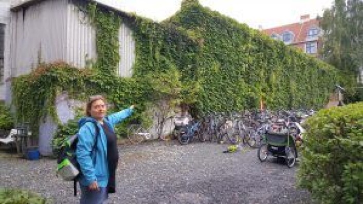 Styreleder Håkonsen peker ut garasjen nærmest bakgården til de ti sameiene. Foto: Tarjei Kidd Olsen Styreleder Håkonsen peker ut garasjen nærmest bakgården til de ti sameiene. Foto: Tarjei Kidd Olsen