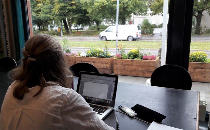 Når oppgavene blir krevende kan brukerne av bibloiteket på Sandakersenteret hvile øynene på plantene utenfor vinduene. Foto: Anders Høilund Når oppgavene blir krevende kan brukerne av bibloiteket på Sandakersenteret hvile øynene på plantene utenfor vinduene. Foto: Anders Høilund