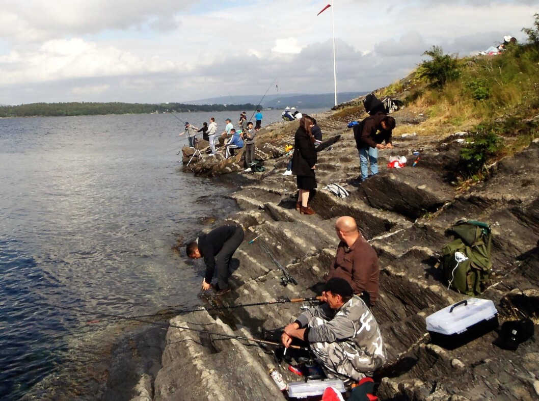 Makrellfiske i Indre Oslofjord er populært. Det er ikke få fiskemiddager som blir som blir hentet opp fra fjorden hver sommer. Foto: Anders Høilund Makrellfiske i Indre Oslofjord er populært. Det er ikke få fiskemiddager som blir som blir hentet opp fra fjorden hver sommer. Foto: Anders Høilund