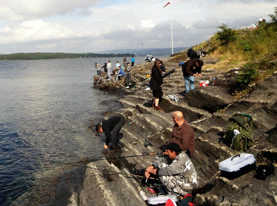 Makrellfiske i Indre Oslofjord er populært. Det er ikke få fiskemiddager som blir som blir hentet opp fra fjorden hver sommer. Foto: Anders Høilund