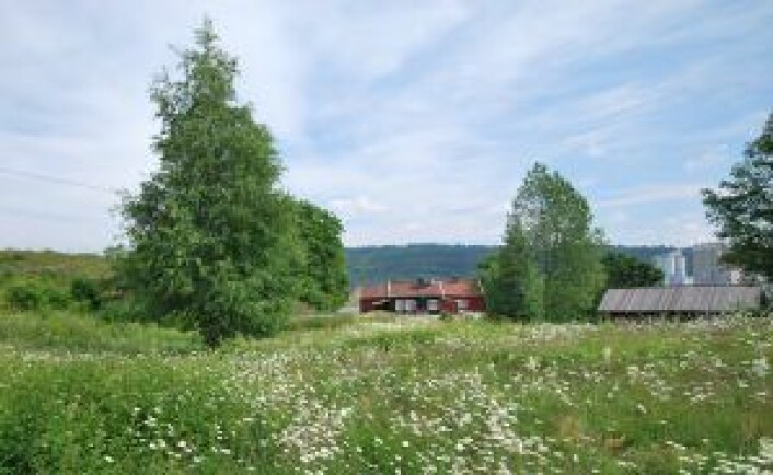 Osloøyenes eneste gård, Bleikøyplassen, finnes nord på Bleikøya og har vært bebodd av samme familie siden tidlig på 1700-tallet. Den ønsker byrådet å regulere til bevaring. Foto: Helge Høifødt / Creative Commons Osloøyenes eneste gård, Bleikøyplassen, finnes nord på Bleikøya og har vært bebodd av samme familie siden tidlig på 1700-tallet. Den ønsker byrådet å regulere til bevaring. Foto: Helge Høifødt / Creative Commons