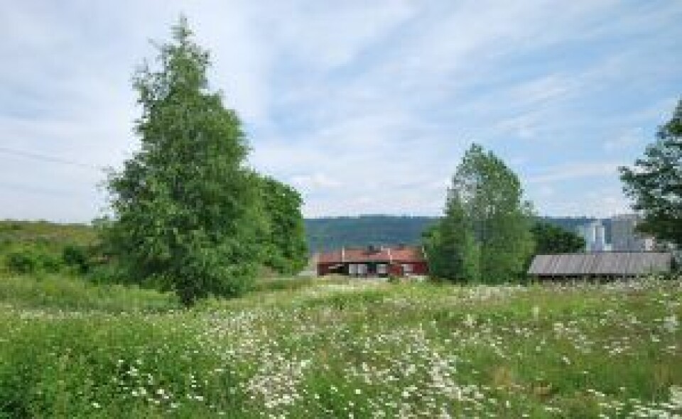 Osloøyenes eneste gård, Bleikøyplassen, finnes nord på Bleikøya og har vært bebodd av samme familie siden tidlig på 1700-tallet. Den ønsker byrådet å regulere til bevaring. Foto: Helge Høifødt / Creative Commons