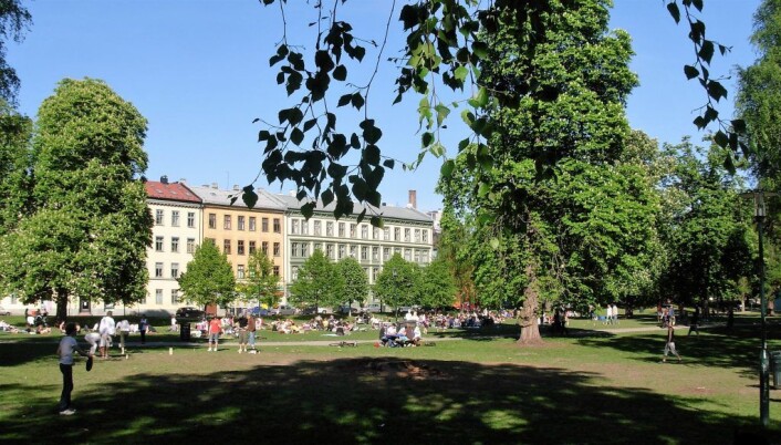 Sofienbergparken på Grunerløkka er en svært populær park. Foto: Wikipedia Sofienbergparken på Grunerløkka er en svært populær park. Foto: Wikipedia