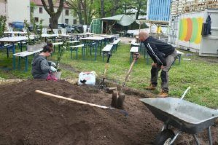 To ansatte, Dona Johannesen og Stian Wasrud, på dugnad. Foto: Privat To ansatte, Dona Johannesen og Stian Wasrud, på dugnad. Foto: Privat