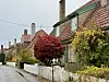Arctanderbyen