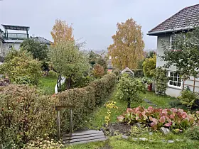 Arctanderbyen