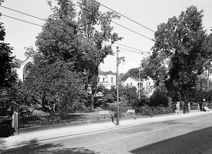 Den prydelige Josefines gate i 1961. Foto:<br /> Truls Teigen/Oslo bymuseum Den prydelige Josefines gate i 1961. Foto:<br /> Truls Teigen/Oslo bymuseum