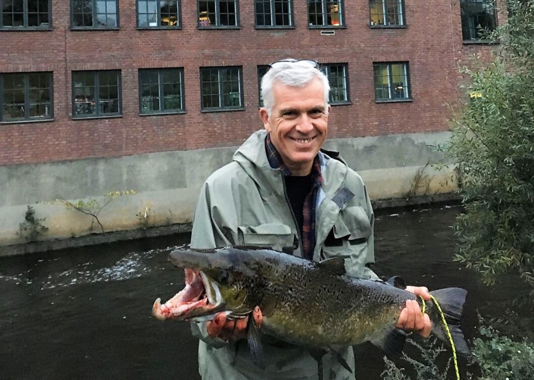 Her har rektor Jørn Mortensen på Kunsthøyskolen akkurat fanget en Akerselva-laks på 6,66 kilo, og det kun en kort tur fra arbeidsplassen litt lenger opp langs elva. Foto: Eirik Ballo Her har rektor Jørn Mortensen på Kunsthøyskolen akkurat fanget en Akerselva-laks på 6,66 kilo, og det kun en kort tur fra arbeidsplassen litt lenger opp langs elva. Foto: Eirik Ballo
