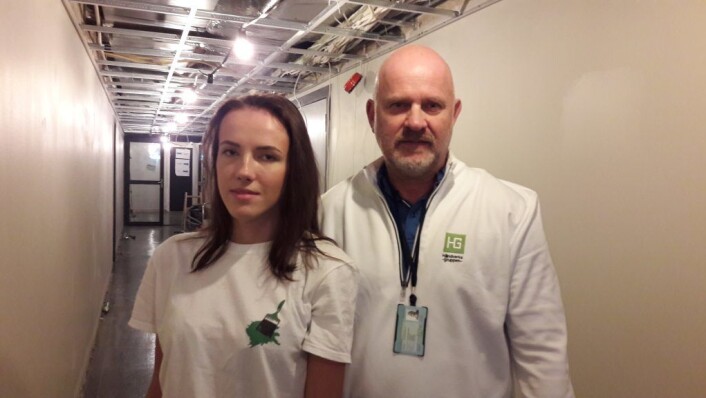 Ewelina Sekiw og Sjur B. Hansen på jobb i Klingenberggata. Foto: Anders Høilund Ewelina Sekiw og Sjur B. Hansen på jobb i Klingenberggata. Foto: Anders Høilund